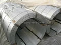 Galvanized stranded wire 4