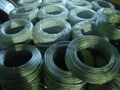 Galvanized stranded wire 5