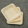 ECO-friendly taobao disposable bamboo square plates with low price