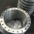 ANSI Pipe Fittings Weld Neck Rtj Carbon Steel Flange 4