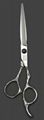 Professional Hairdressing Scissors