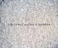 IRRI-9/ C-9 Long grain White rice 1