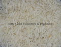 PK-386 Long Grain (Most demanded) fragrant White rice 1