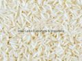 D-98/ PK-385 Basmati Long grain fragrant