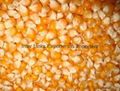 Yellow Corn/ Maize Grade 1 (Non GMO)