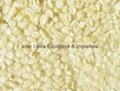 White Corn/ Maize Grade 1 (Non GMO)