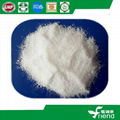 Sodium Erythorbate Food Additives