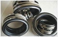 High Quality Mechanical Seals for AES