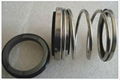 Mechanical Seals China Manufacturer for AES P04 1