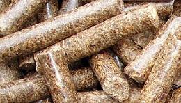 Wood Pellets 2