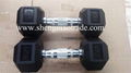 olympic hex rubber dumbbell 2