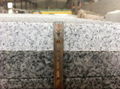 3cm G603 Bianco Crystal Granite Pool Coping 4