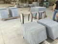 3cm G654 Impala Grey Granite Wall Stone