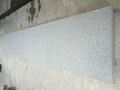 3cm G654 Impala Grey Granite Wall Stone 4