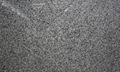 G640 Luna Pearl Granite Slab