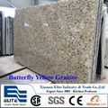 Brazil Butterfly Yellow Granite Slab