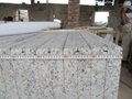 2cm 5cm G439 Bala Flower Granite Tiles 3