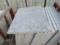 2cm 5cm G439 Bala Flower Granite Tiles 4