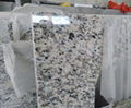 Tiger Skin White Granite Tiles 1