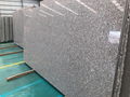 G664 Bainbrook Brown Granite Slab