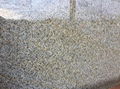 yellow G682 Desert Gold Granite Slab