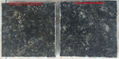 Brazil Butterfly Green Granite Countertop 2