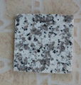 Pauline Grey granite G439 Granite Benchtop 4