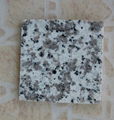 Pauline Grey granite G439 Granite Benchtop