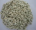 RAW COTTON FIBER AND SEEDS 3