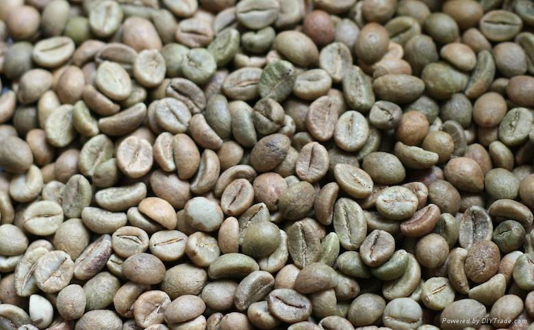 Coffee beans the best quality