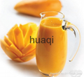 Mango powder food additive natural extract 3