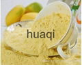 Mango powder food additive natural extract 4