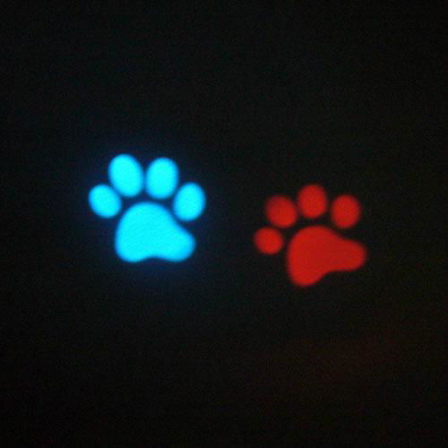 WIN-1628 best led pointer for cats dog laser pointer projector 4