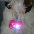 WIN-2830 6 led Custom Pet dogtags for promotion dog gifts 4