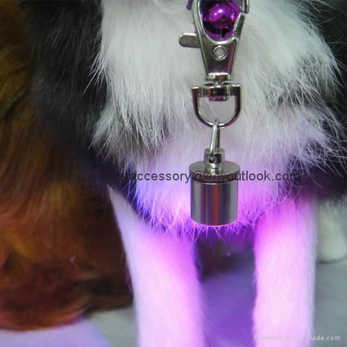 WIN-2836 Flasher cat pet tags dog lights for at night pet accessories 3