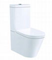 Washdown two piece toilet