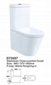 Washdown two piece toilet  3