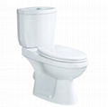 Washdown two piece toilet