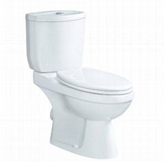 Washdown two piece toilet 