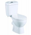 Washdown two piece toilet