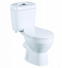 Washdown two piece toilet 