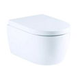 Ceramic washdown wall hung toilet