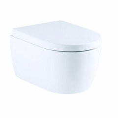 Ceramic washdown wall hung toilet 