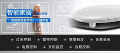 Nanjing Sensor Technology Co., Ltd.