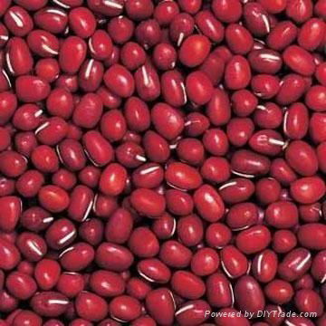 Adzuki beans