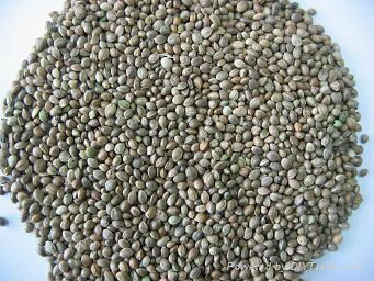 Hempseeds