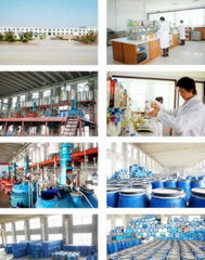 Yantai Tianrui Textile Advanced Material Co., Ltd