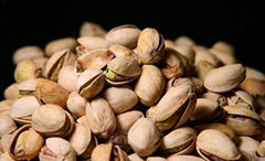 Pistachio Nuts