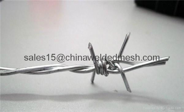 PVC/Galvanized Barbed Wire From Stock