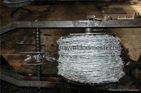 PVC/Galvanized Barbed Wire From Stock 3